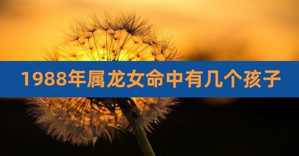 属龙的女人一生命运吉凶