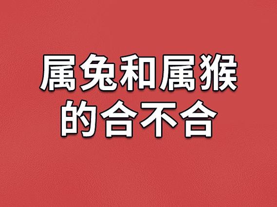 属兔的和属猴2021年怀孕要孩子怎么样