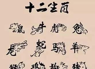 属猪2020年劫数有哪些