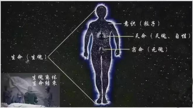 自带天命的人能感应到吗