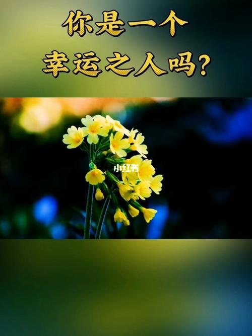 你是一个幸运的人吗