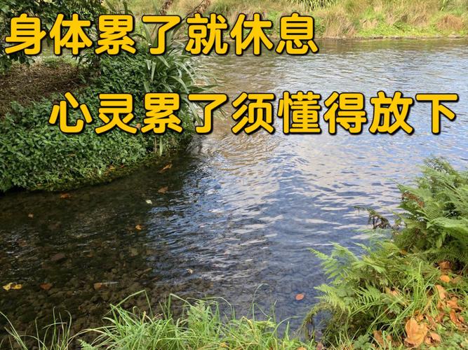 越活越精明,却总是装糊涂的星座,他们懂得“难得糊涂”