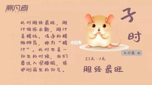 卯时出生的属鼠的女性的性格与命运会如何呢