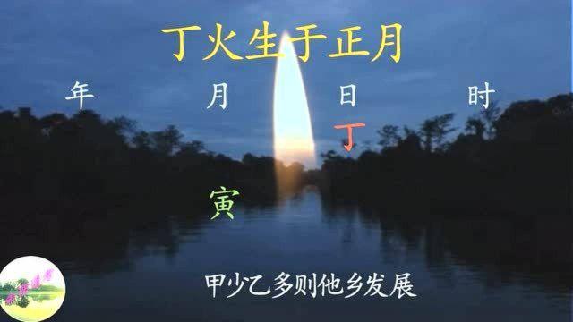 丁火生于辰月取用神是什么