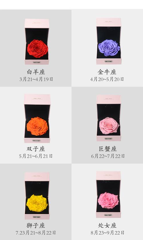 情人节送十二星座什么花?