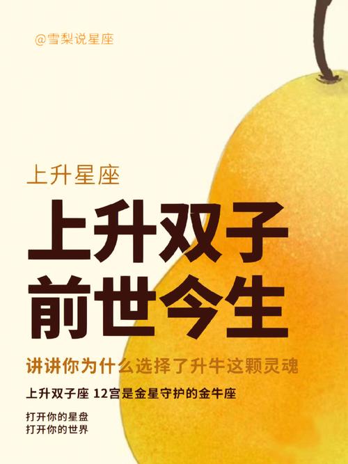 上升星座双子座的人,头脑聪明灵活,反应迅速