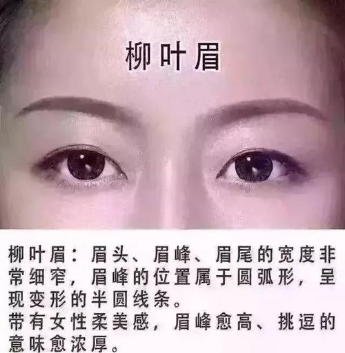 运气好的面相,运气好的眉毛长啥样