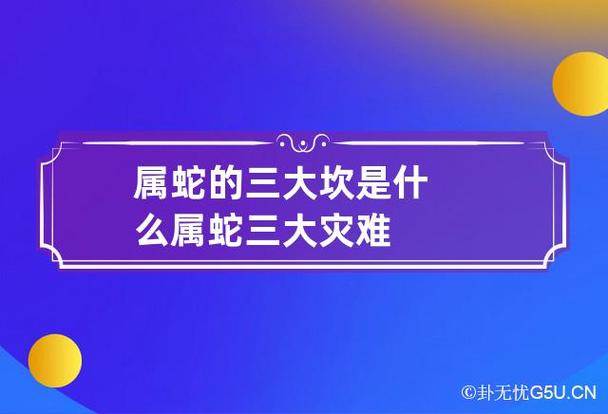 属蛇三大坎怎么化解