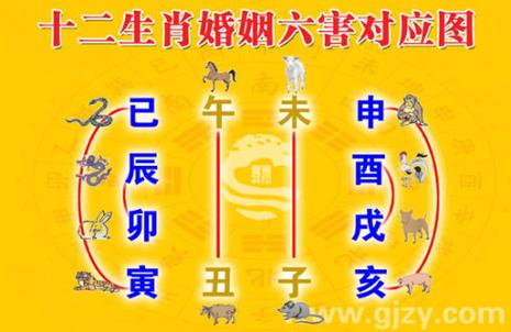 断头婚的属相都有哪些