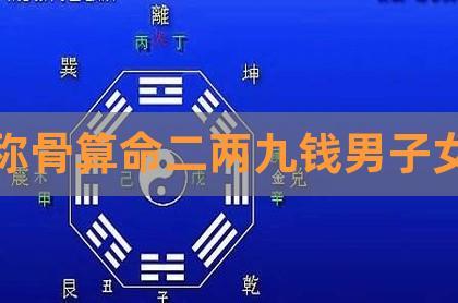 二两九钱男命一生命运