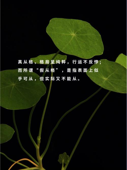 什么是假化气格?八字假化气格与假从格的区别