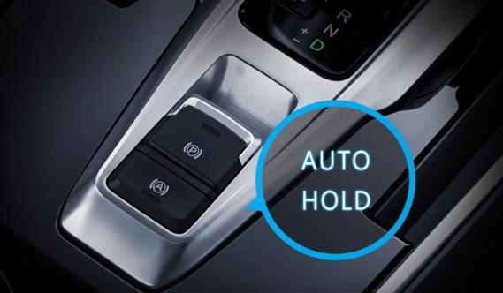 金牛座autohold