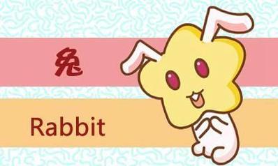 七几年属兔