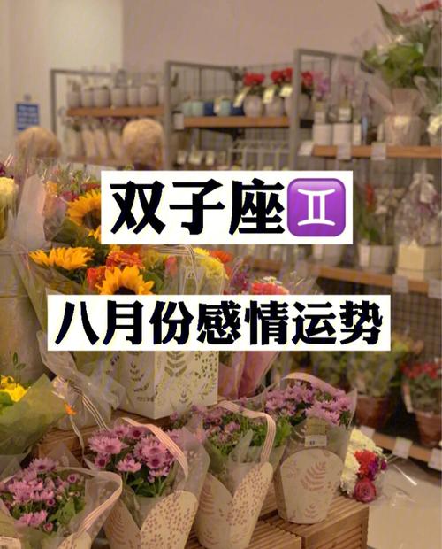 双子座一生命运如何