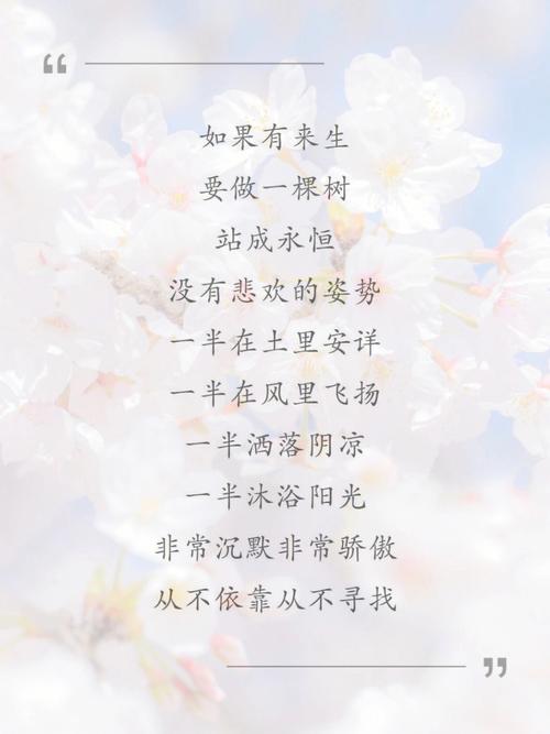 喜欢三毛的双鱼座女生
