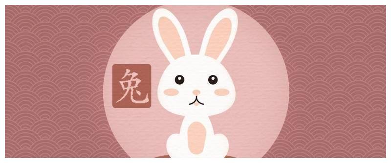 属兔人从事什么行业往往很谨慎