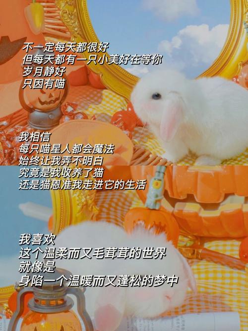 最让属狗女票感到温暖的相处方式