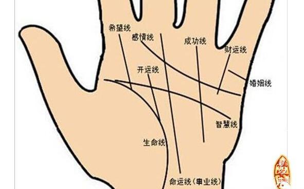 手相:教你看懂五大线条和断掌