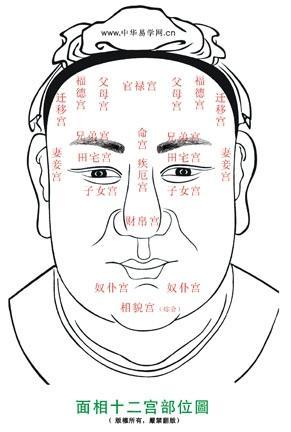 【连山人面相】相由心生