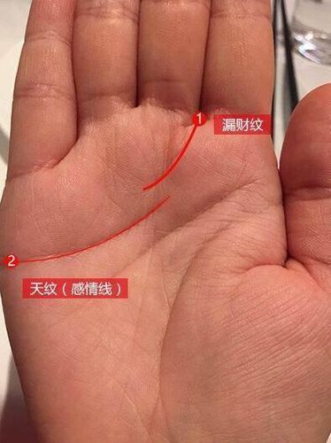 漏财手相
