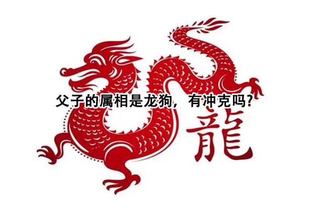 龙狗相冲谁克谁
