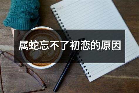 属蛇不想恋爱的真正原因