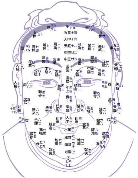 怎么看15岁到34岁的面相流年