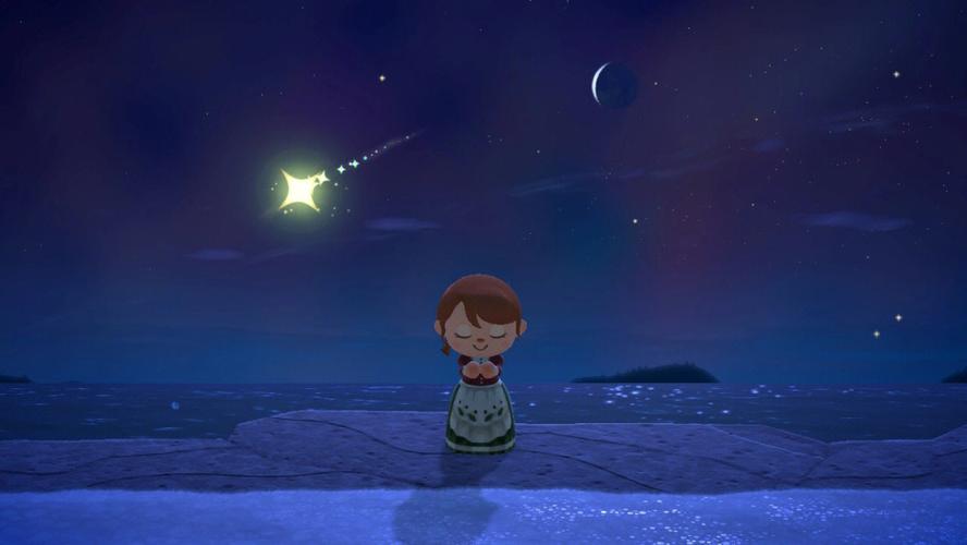 梦见流星雨许愿