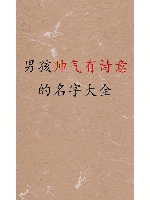 申姓男孩名字大全有诗意的那种