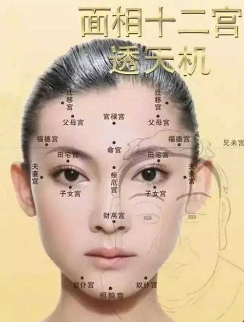 什么面相的人总是认为自己观点最正确