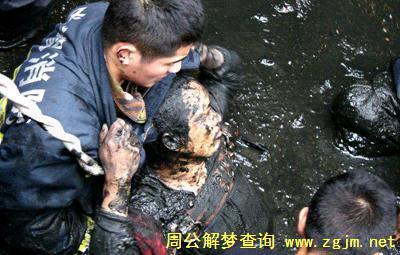 女人梦见有人掉粪坑里
