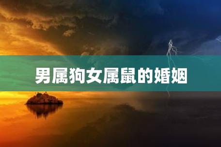 狗和鼠相配婚姻如何什么属相最配