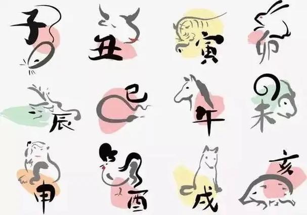 属虎的年份解析