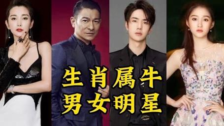 属牛的名人和明星