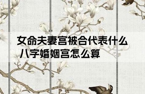婚姻宫被合为何还会离婚
