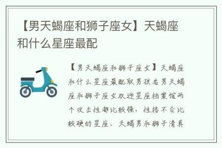 配对查询 狮子座和天蝎座的配对评分、比重、解析