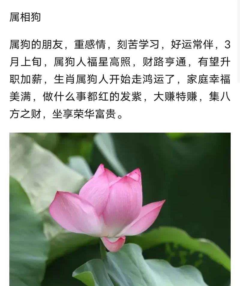 5月上旬的3生肖日成为大富翁,事业是风生水起,人穷志不短