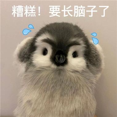 沙雕搞怪奇葩宠物名字欢乐皮一下很开心