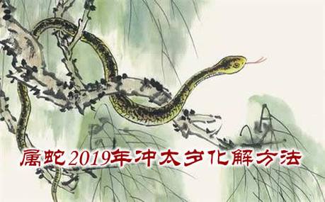生肖属蛇2019年冲太岁化解方法大全