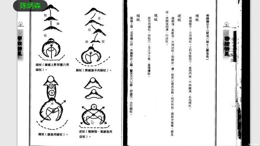 《十二杖法》介绍了哪十二种阴宅风水的葬法?