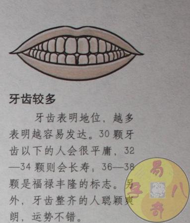 牙齿的多少看你的命运是好是坏?