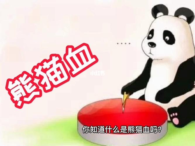 什么血型结合是熊猫血