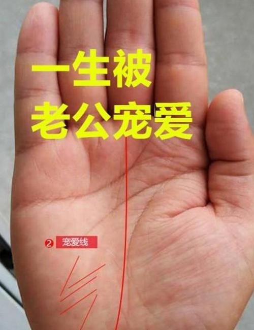 能被宠爱一生的手纹有哪些?