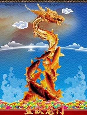 鲤鱼跃龙门!这些生肖即将飞黄腾达