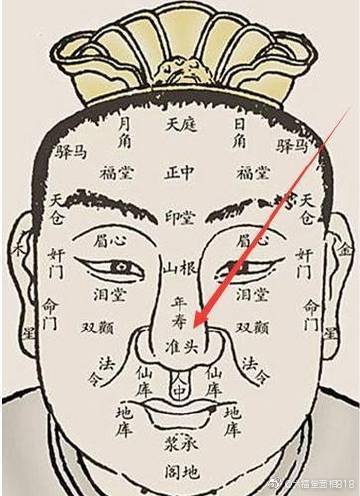 面相图解之武库伏犀骨是怎样的