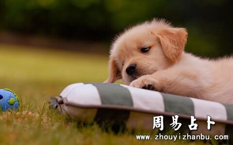 梦见站立周公解梦,梦见站立是什么意思?