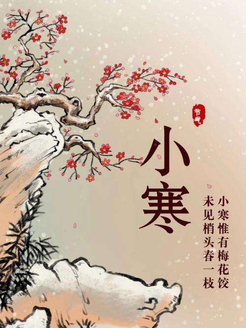 2040年小寒是几月几号,2040年什么时候小寒