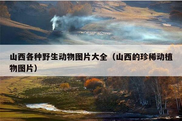 好听的动植物名字