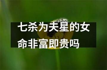 女带七杀非富即贵吗
