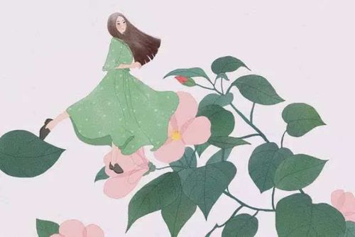 选一花测你是什么智慧人物